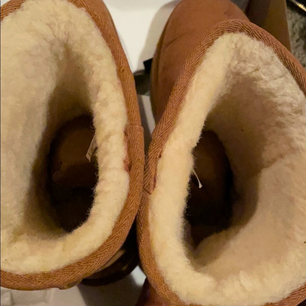 UGG Short Classic - Picture 2 of 6